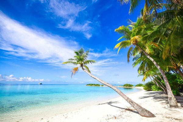 Circuit bon-plan : voyage de luxe à prix doux